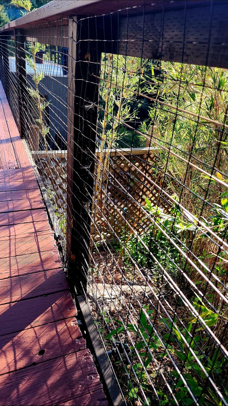 New rubber coated 1" 1" mesh gaurd railing around deck.