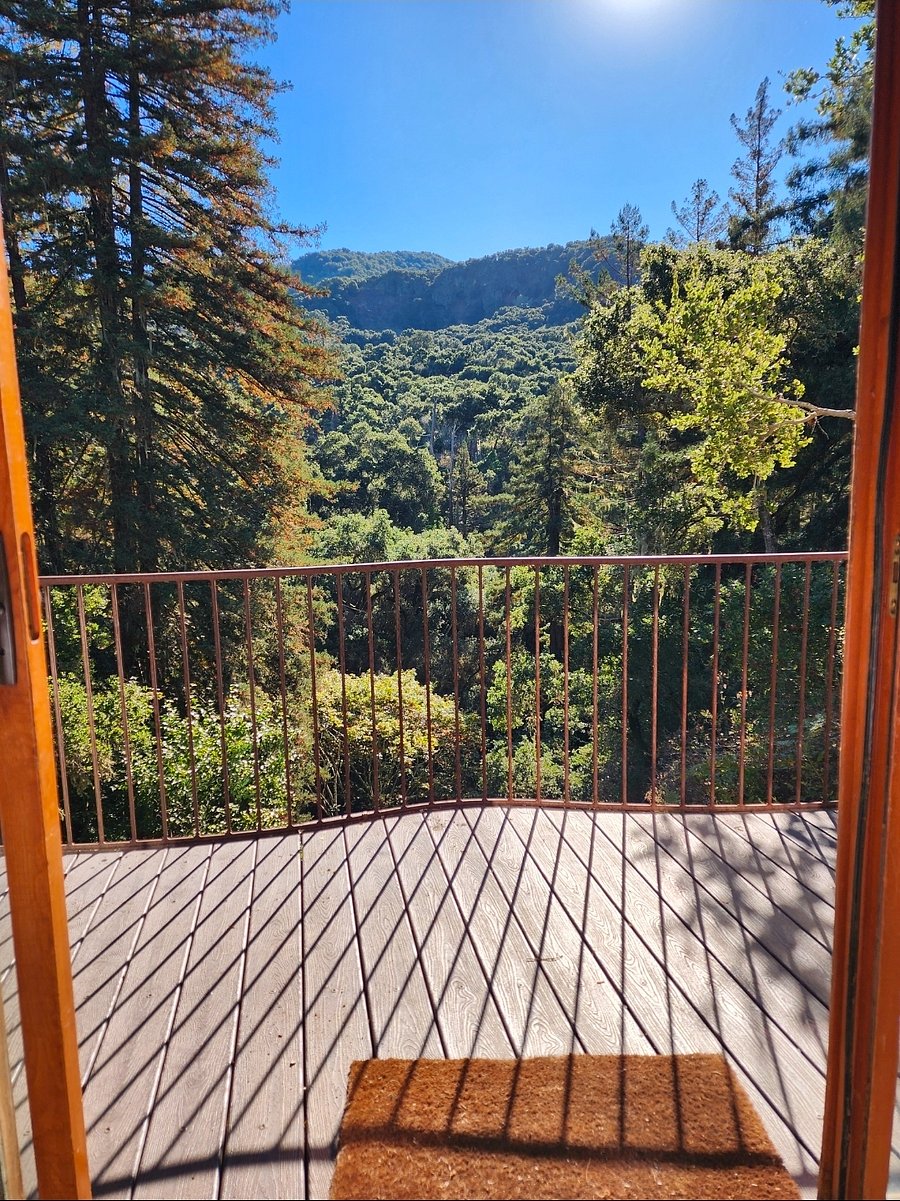 View from guest room.