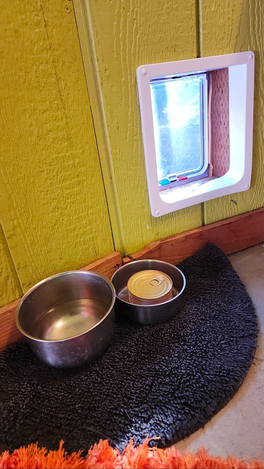 Kitty Cat door to guest unit.