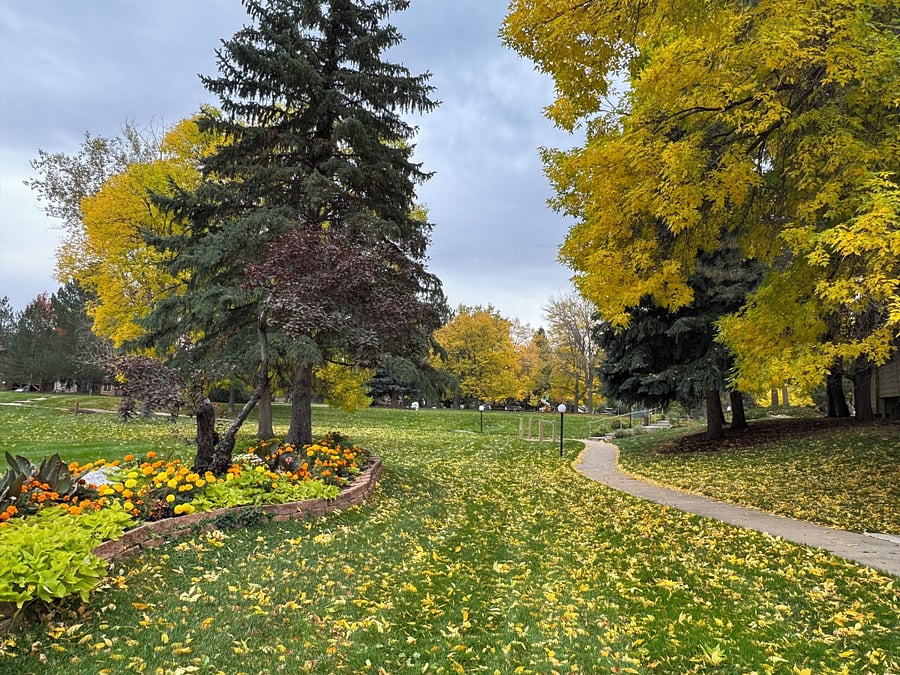 Greenway outside office window