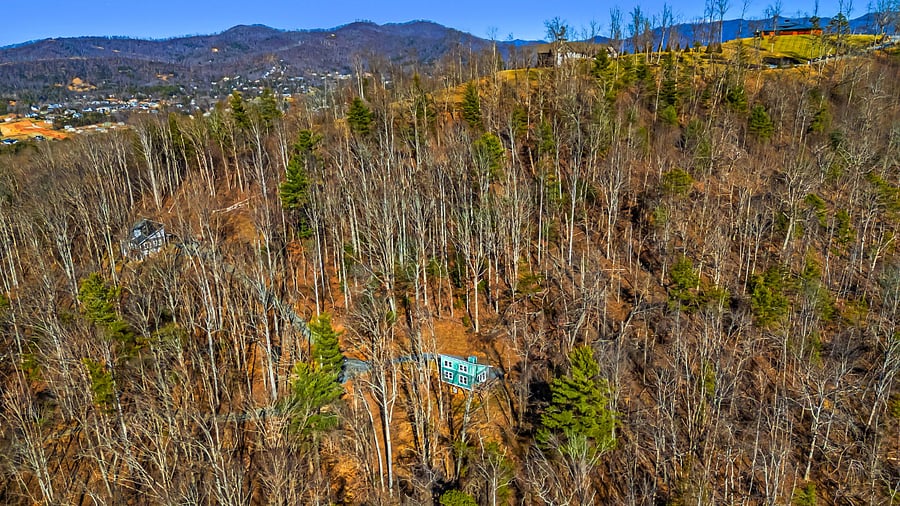 The owners' house and the cabin share 11+ acres of woods