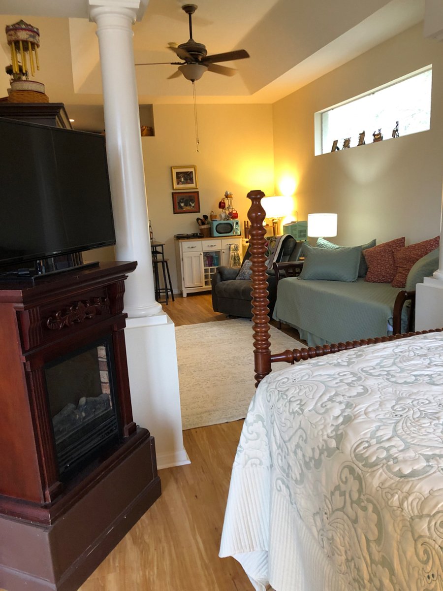 View from bedroom with fireplace and tv. Streaming service and wifi included.