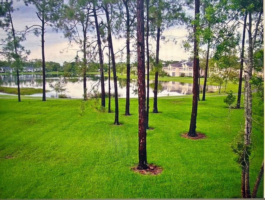 Furnished Finder property 940122_1 photo 6