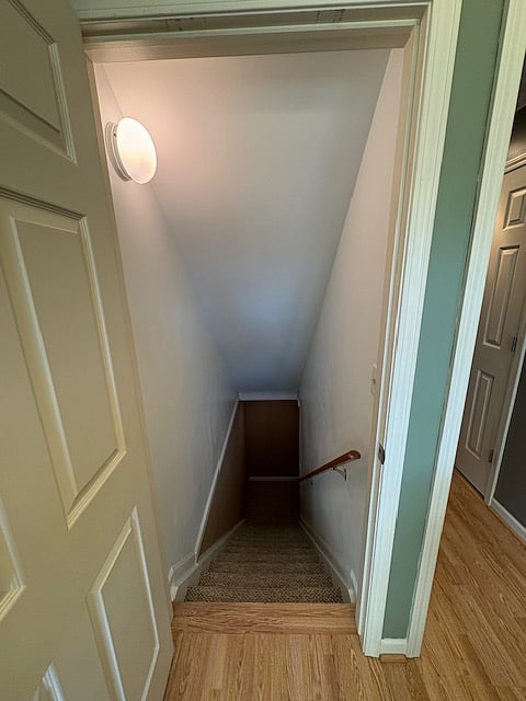 basement staircase (off of kitchen)