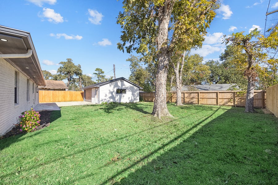 Backyard