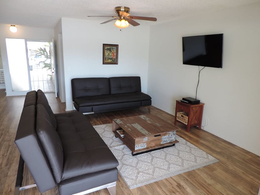 TV living room area with two fold-out bed couches for the occasional guest.