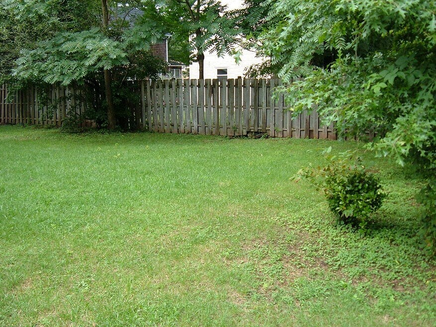 Furnished Finder property 940462_1 photo 4