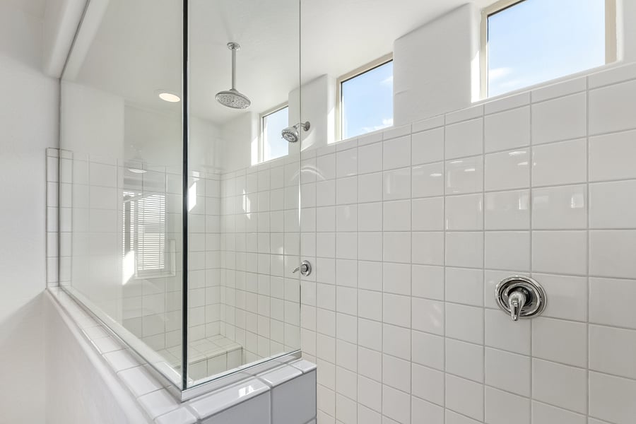 Primary Shower