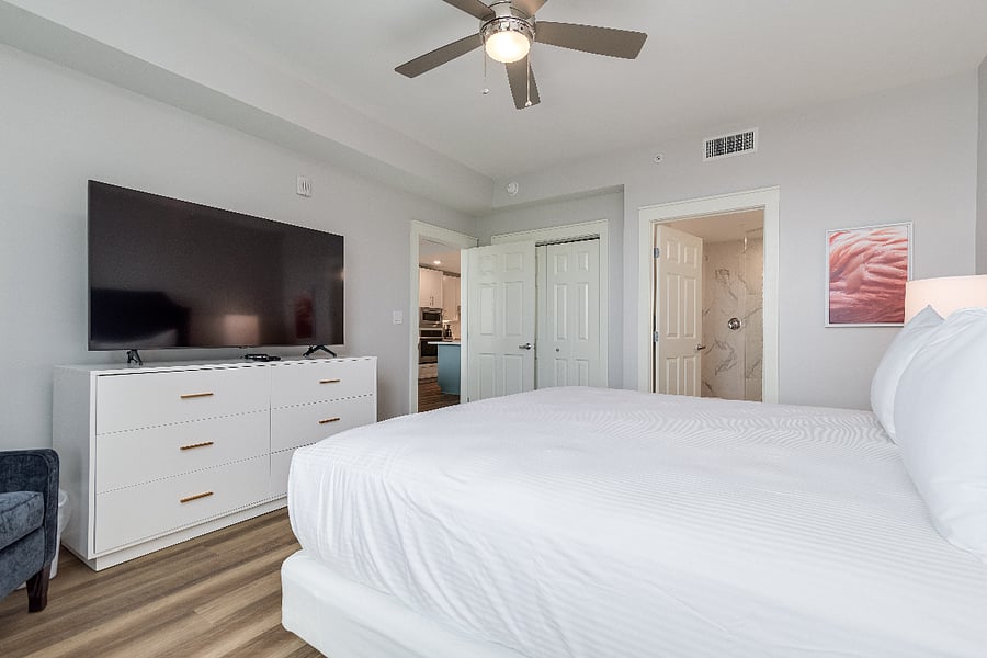 Master Bedroom TV