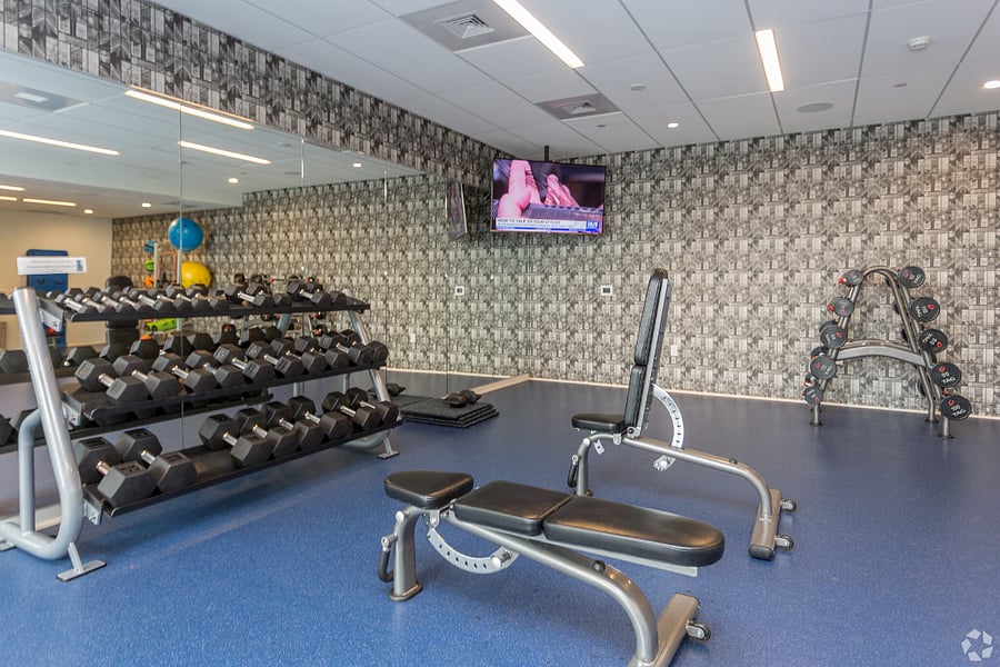 Clean lines, premium machines, and room to breathe.
A fitness space that makes wellness feel effortless.