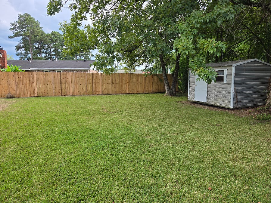 Backyard - privacy fence
