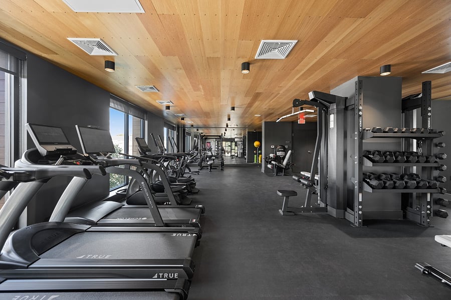 Clean lines, premium machines, and room to breathe.
A fitness space that makes wellness feel effortless.
