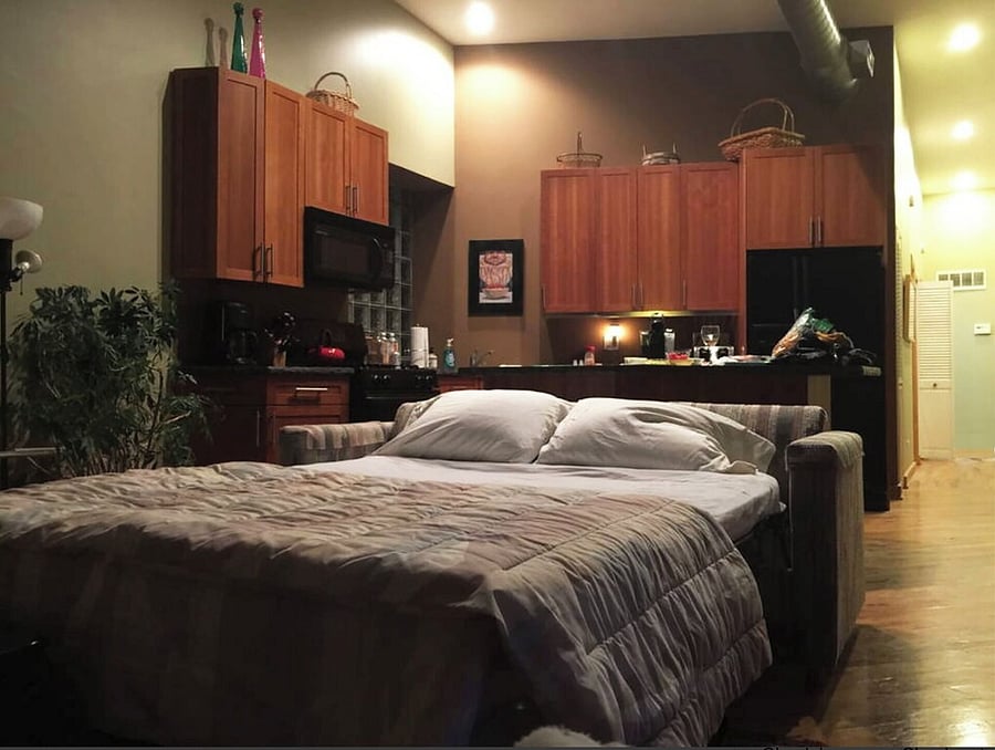 Pull out Sleeper Sofa