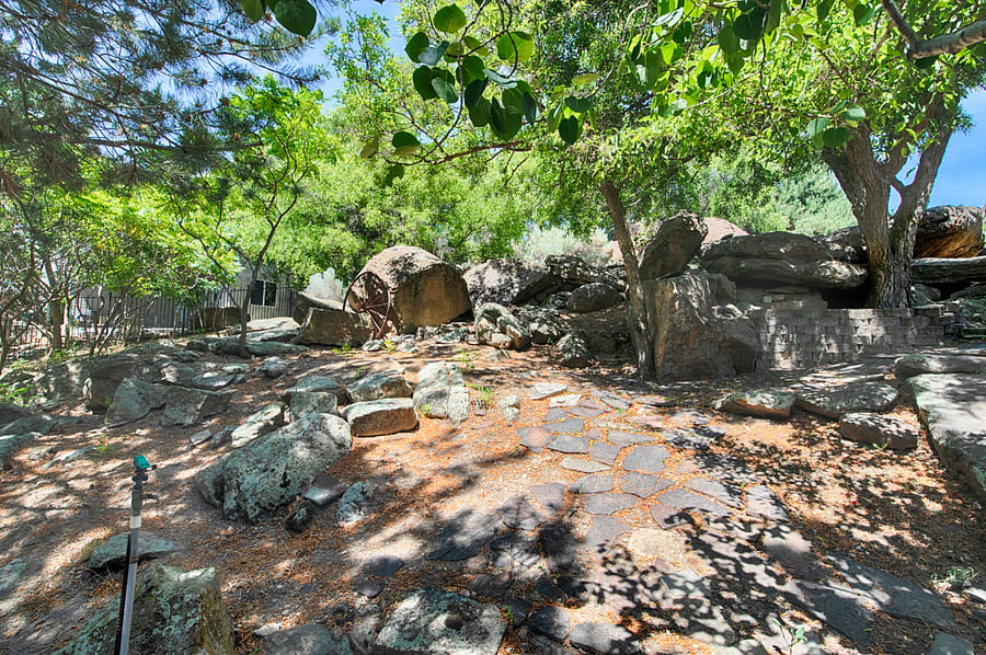 Private backyard offers ample space to walk and sit beneath a canopy of trees