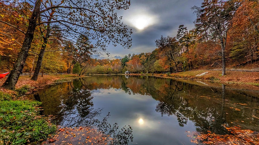 Forest Hill Park lake and trails