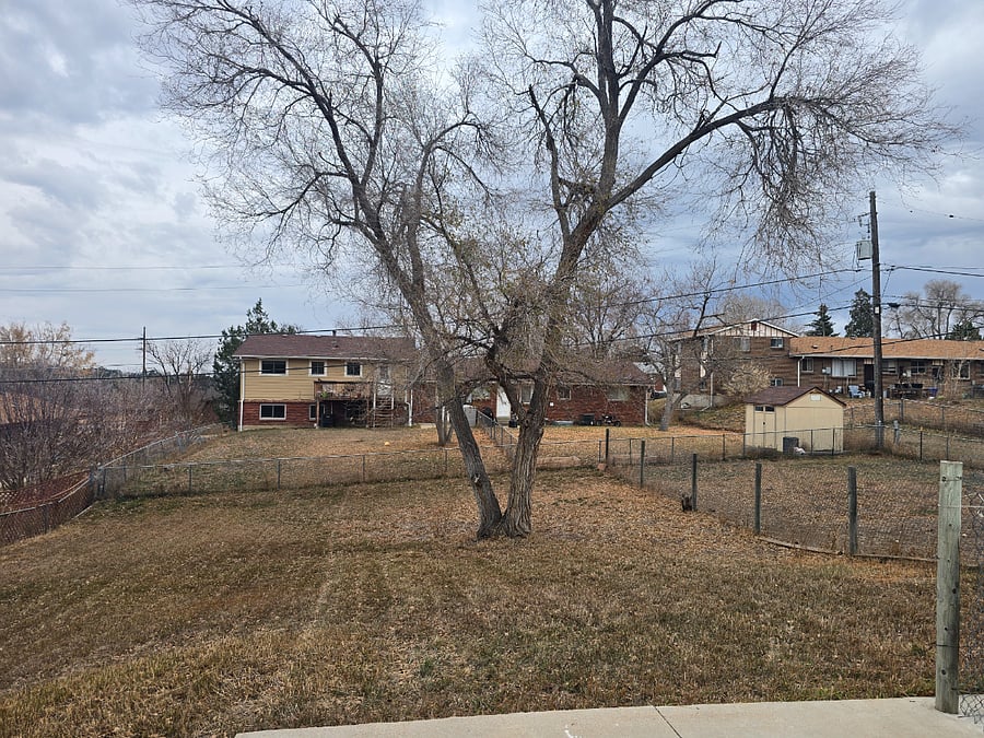 Fenced backyard. 