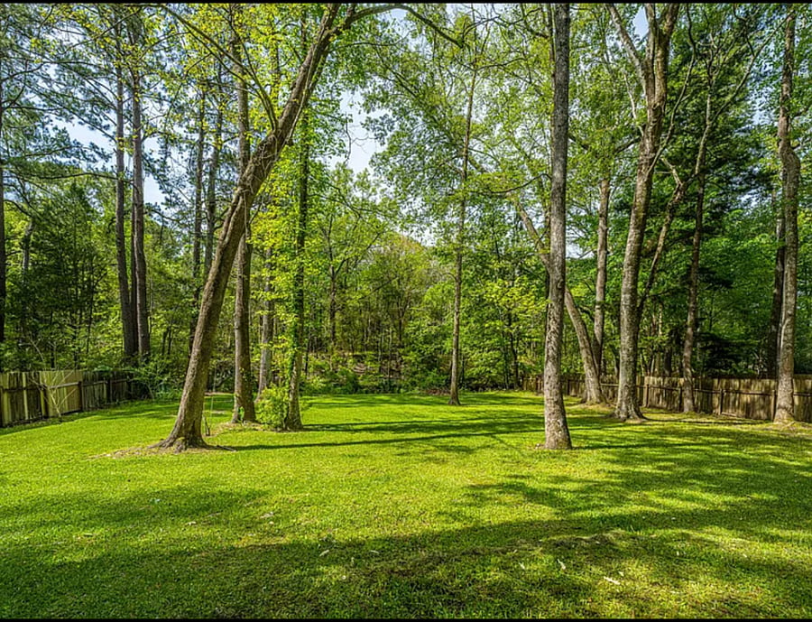 Our serene backyard
