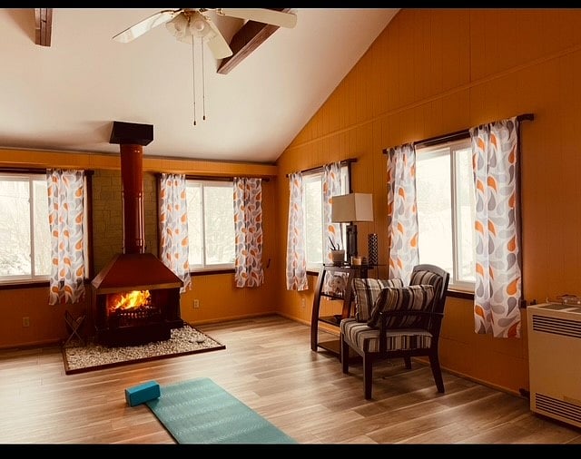 Wood stove fireplace