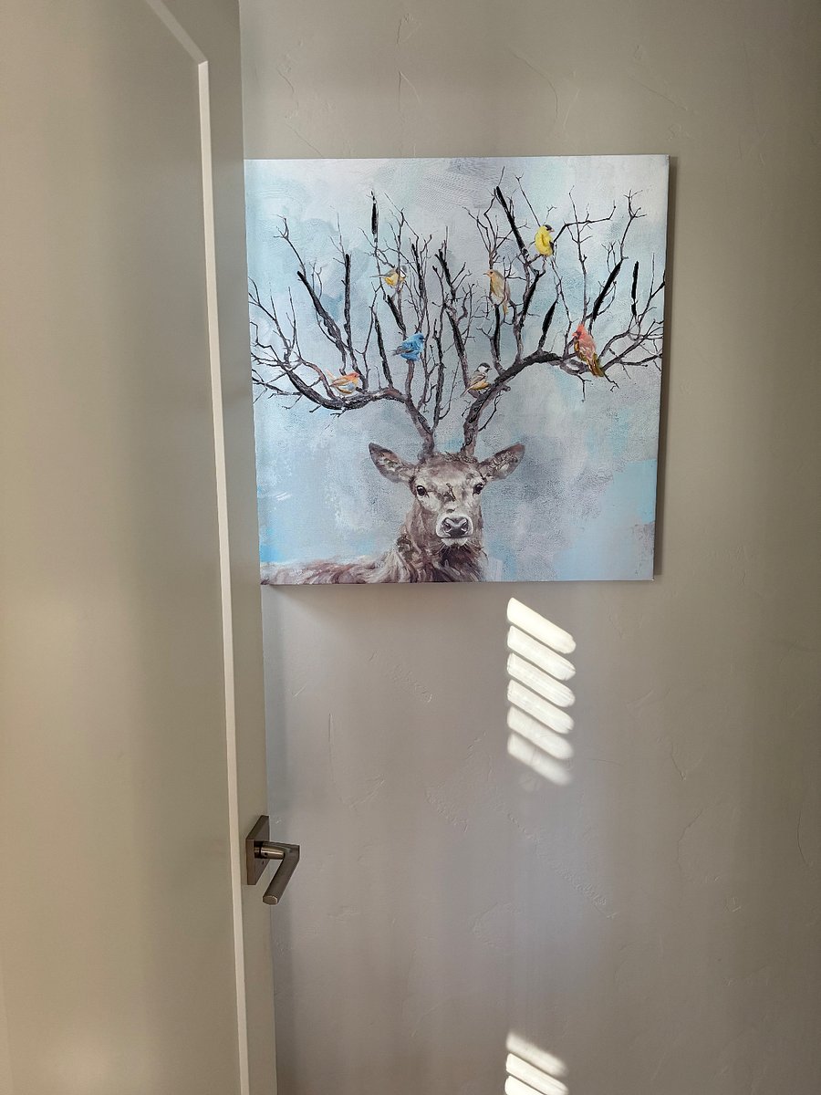 Downstairs Powder Room