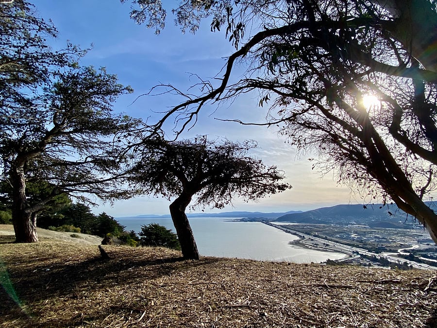 short walk to panoramic trail