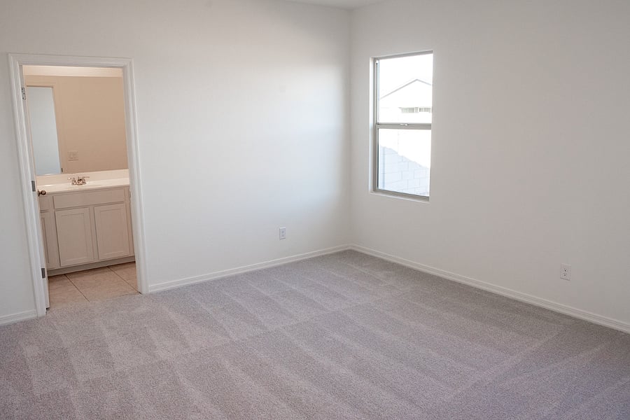 master bedroom with bathroom