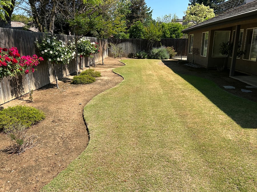 View of shared serene backyard.