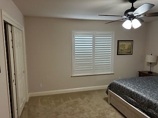 Window with view of front yard and lot of natural light.