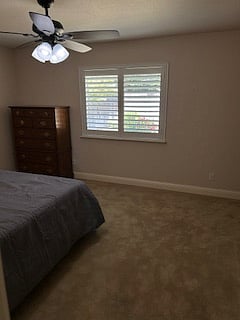 Private bedroom with chest of drawers, window with view of backyard and lots of natural light.