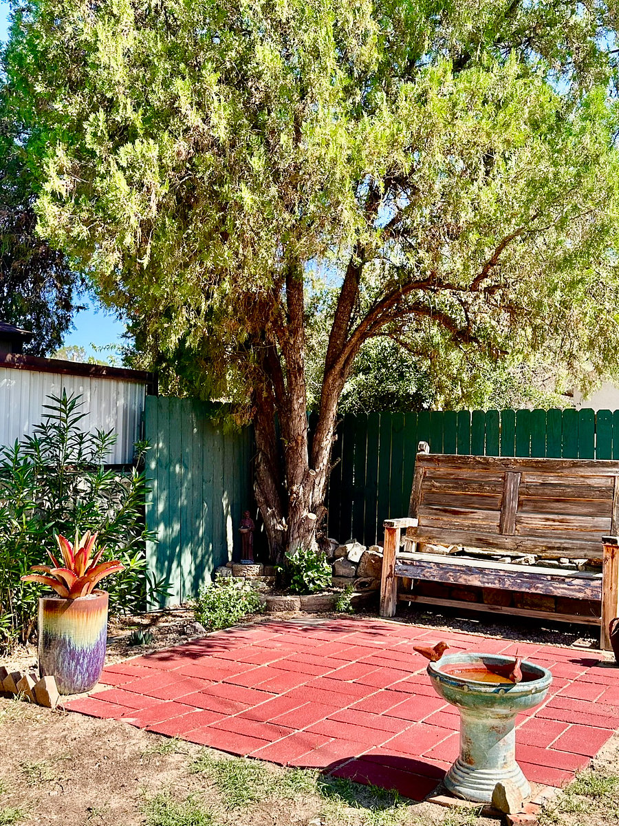 Backyard bench