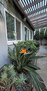 Furnished Finder property 941728_1 photo 12