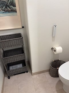 Bidet area