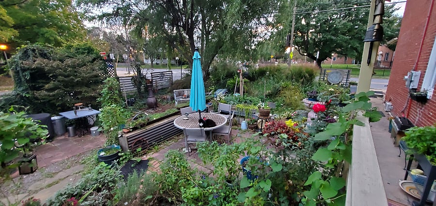 side garden, chiminea, willow tree, herb beds flower beds, patio