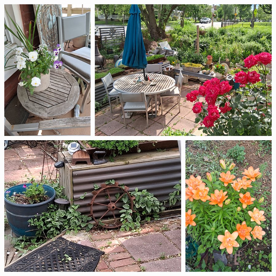Patio and garden