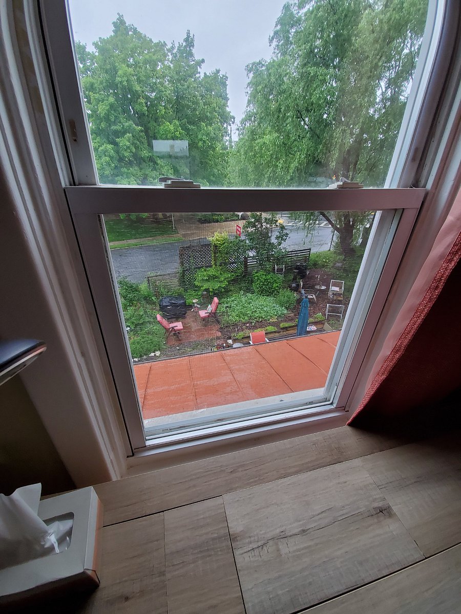view out east bedroom window to side garden, grill, Clarke Place