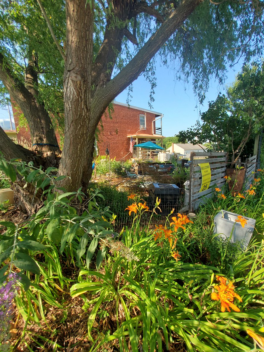 corner view from S. Carroll into side yard