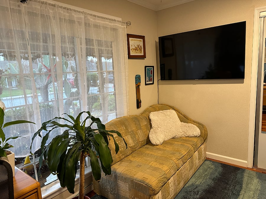 Enjoy the 55" Smart TV