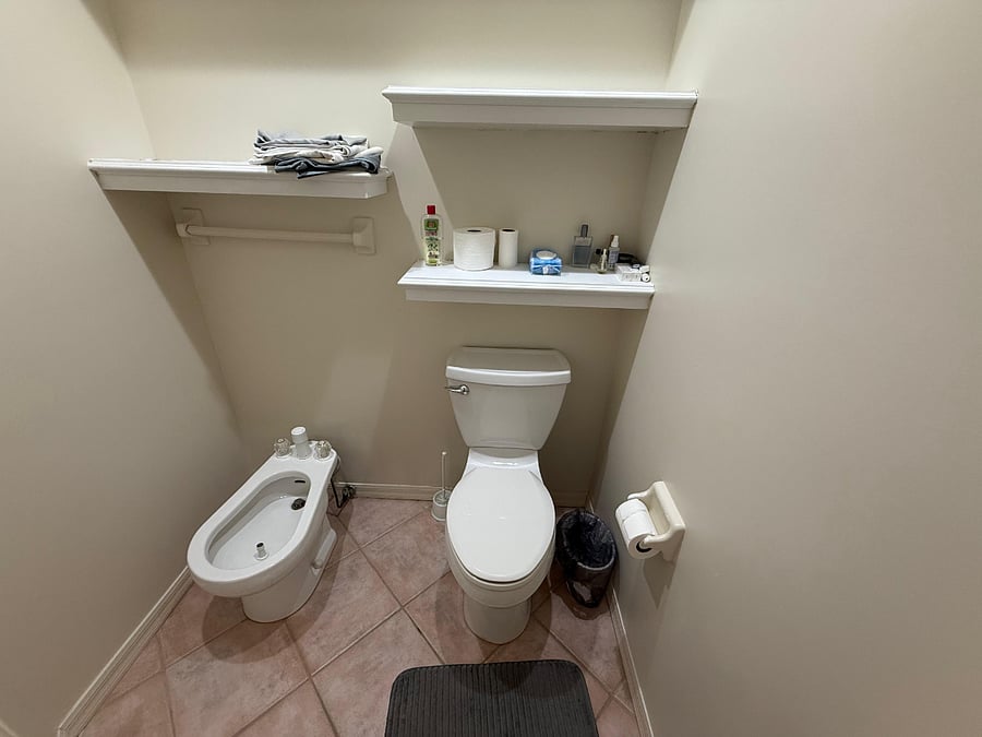 Master toilet and bidet