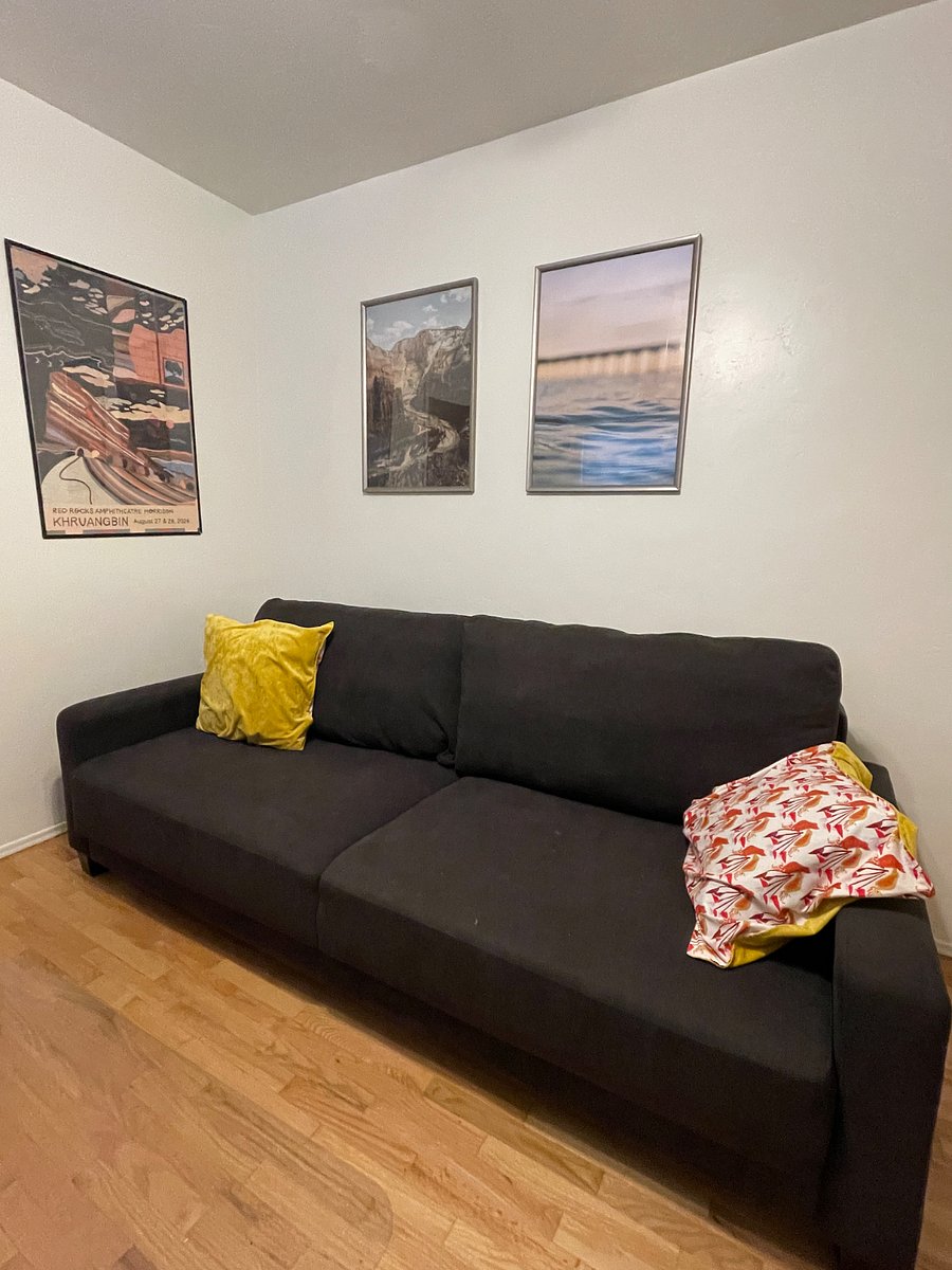 Office sofa/pull-out queen bed