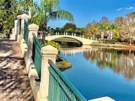 bridges on walking path