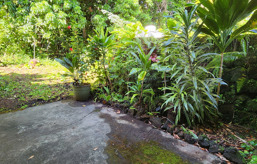 Mini courtyard at entrance of apartment.