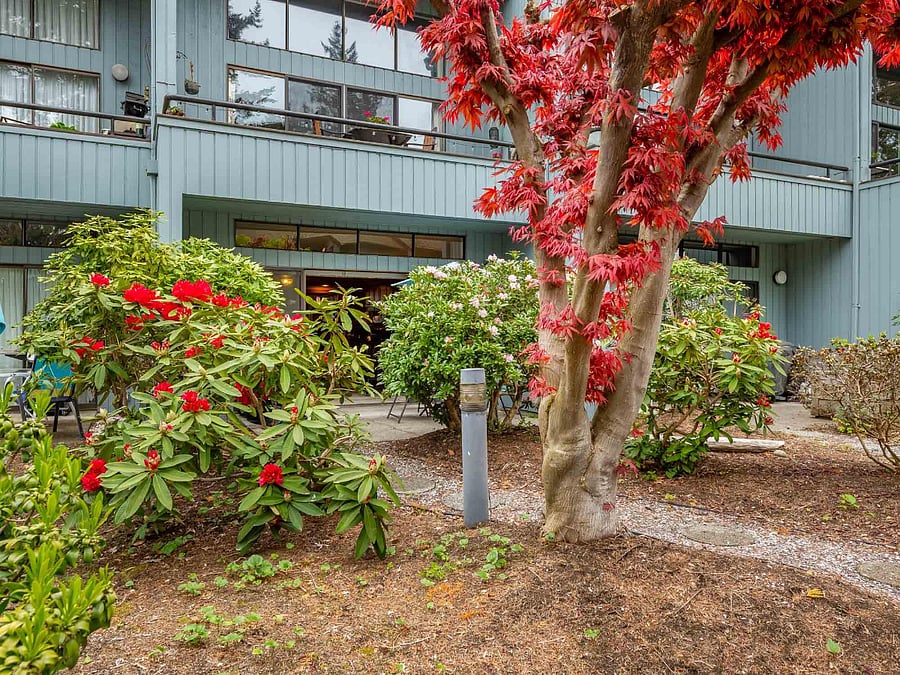 Walkway from parking lot to patio.