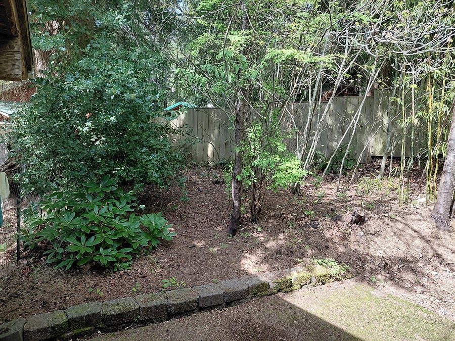 Very private fenced back yard, with patio.