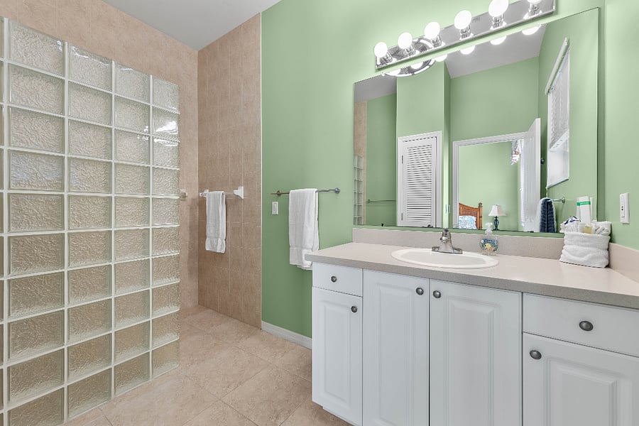 Master Bath - walk in showerWe