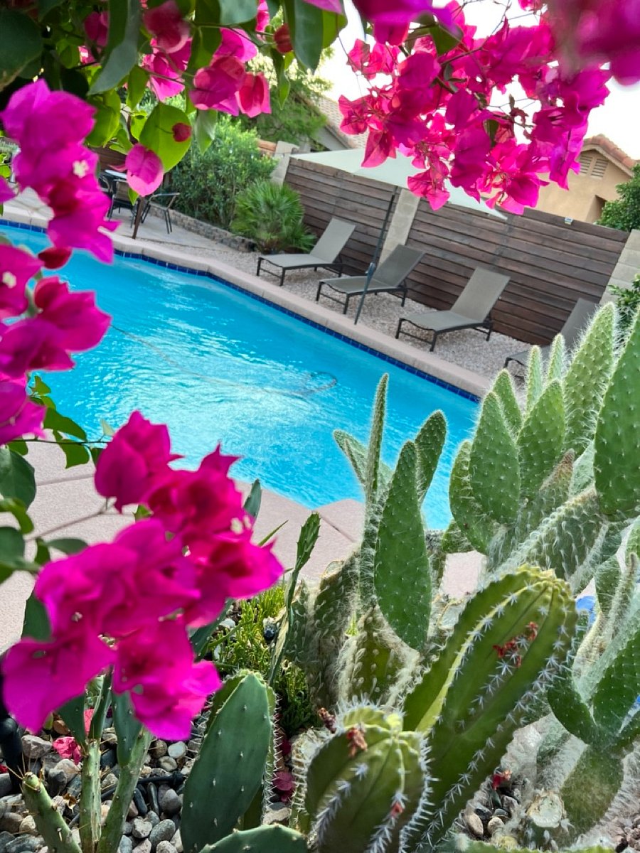 Season Pool (no heated)