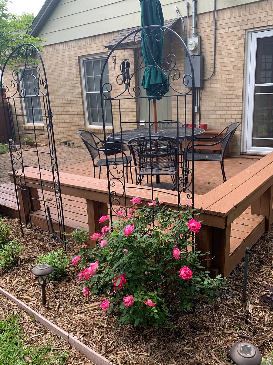Backyard deck