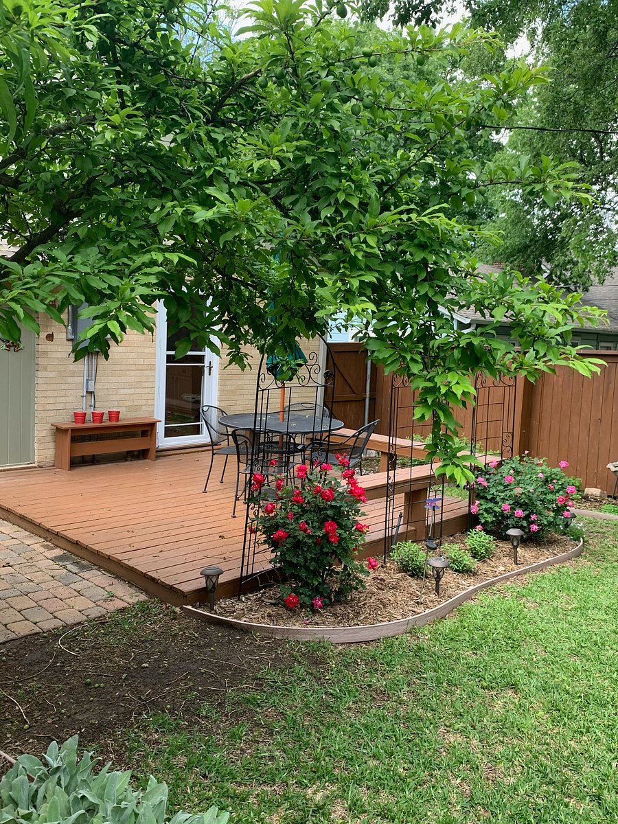 Backyard deck