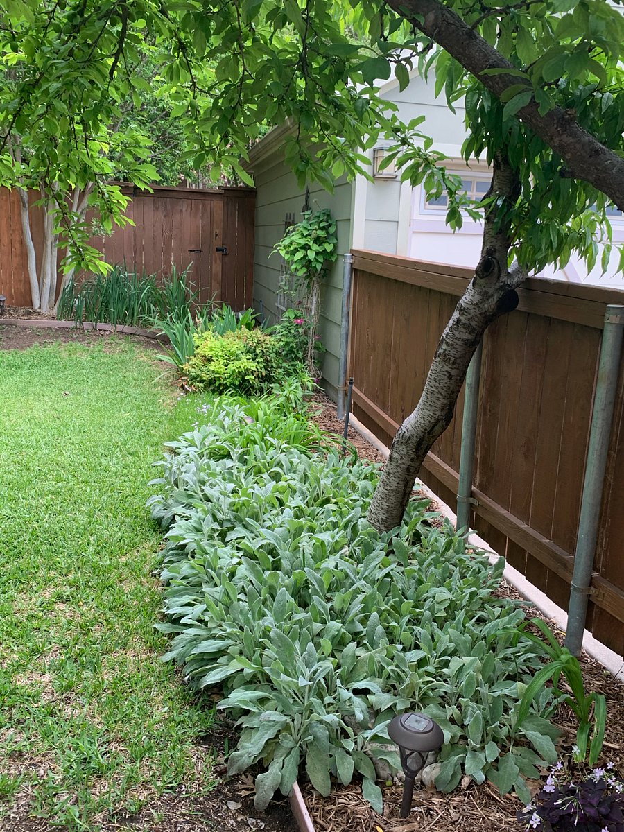 Backyard and detached 2-car garage