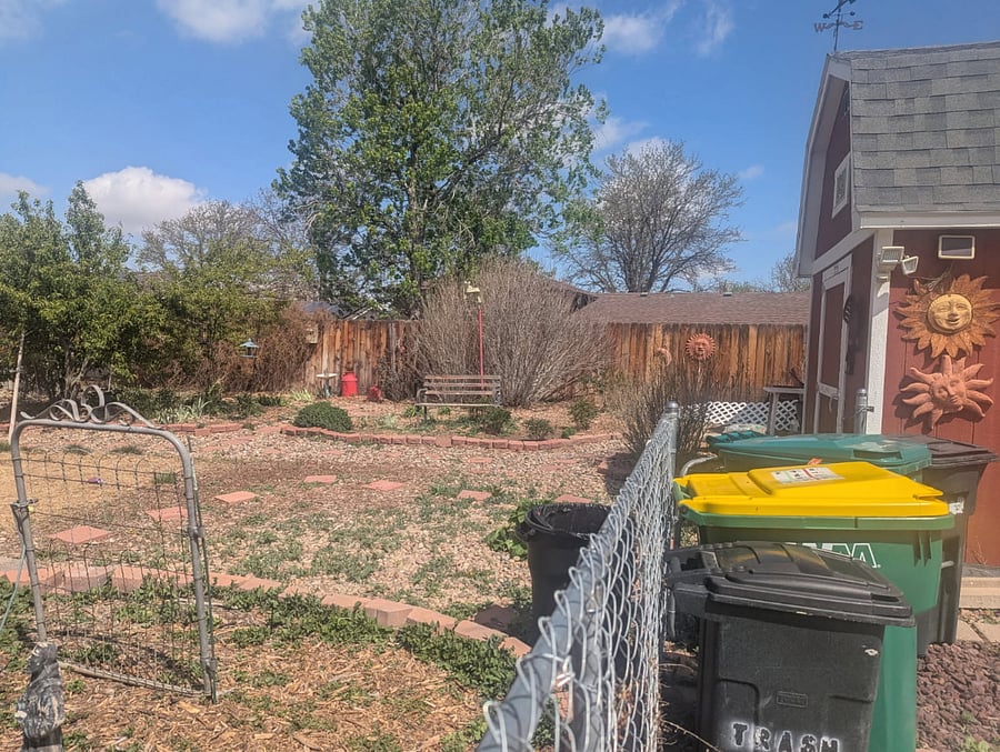 Back yard