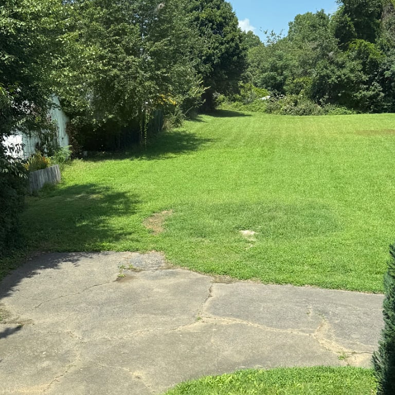 Backyard.Firepit and 4 sitting chairs (not pictured)  Beautiful green grass. Almost .5 acre of greenery. Many guests just walk from the back door in the kitchen, and talk a leisurely walk. Well kept yard. Great for outdoor activities 