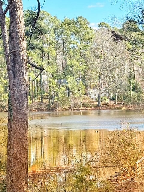 Lake behind condo